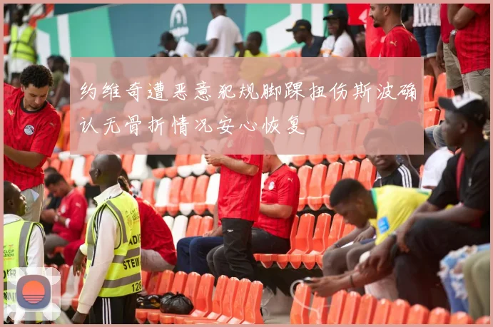 约维奇遭恶意犯规脚踝扭伤斯波确认无骨折情况安心恢复