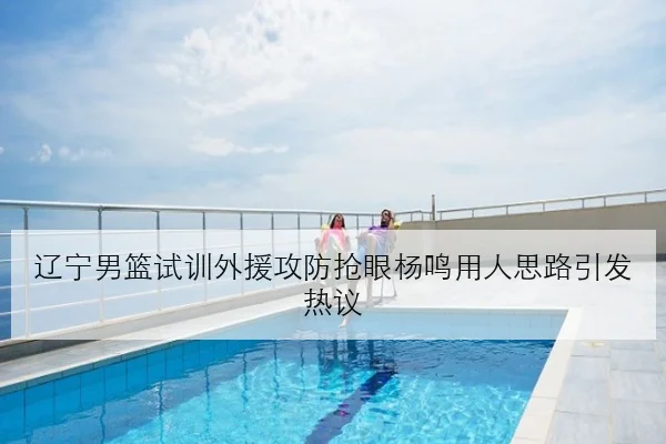 辽宁男篮试训外援攻防抢眼杨鸣用人思路引发热议